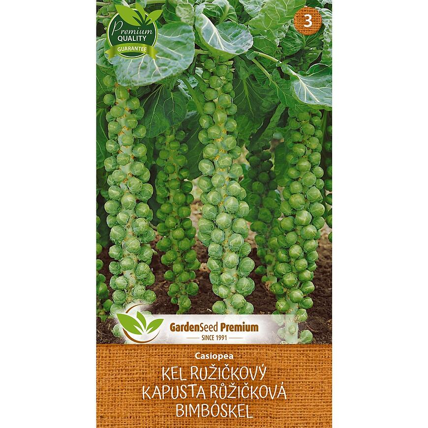 Ružičkový kel Casiopea