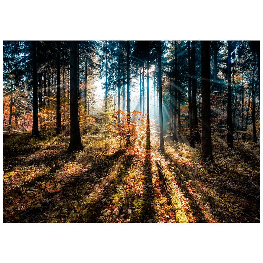 E-shop Glasspik 70x100 Ex590 Autumn Sunset