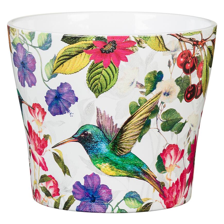 E-shop Obal Tropicana 11/808