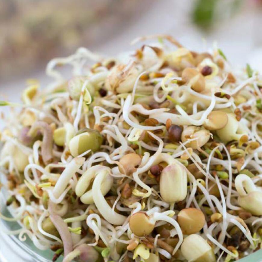 Lahodná zmes semená na klíčky