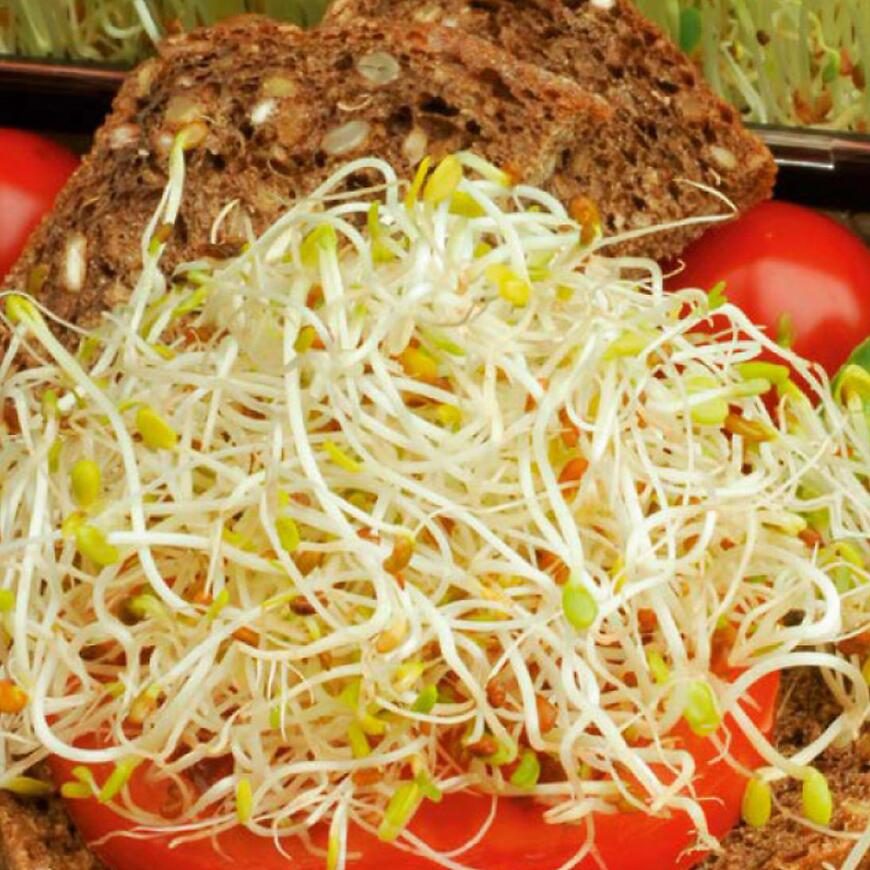 Semená na klíčky - Zdravý duet