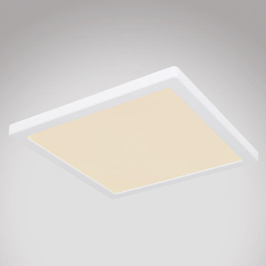 Stropnica 12380-24W LED 24W biely PL