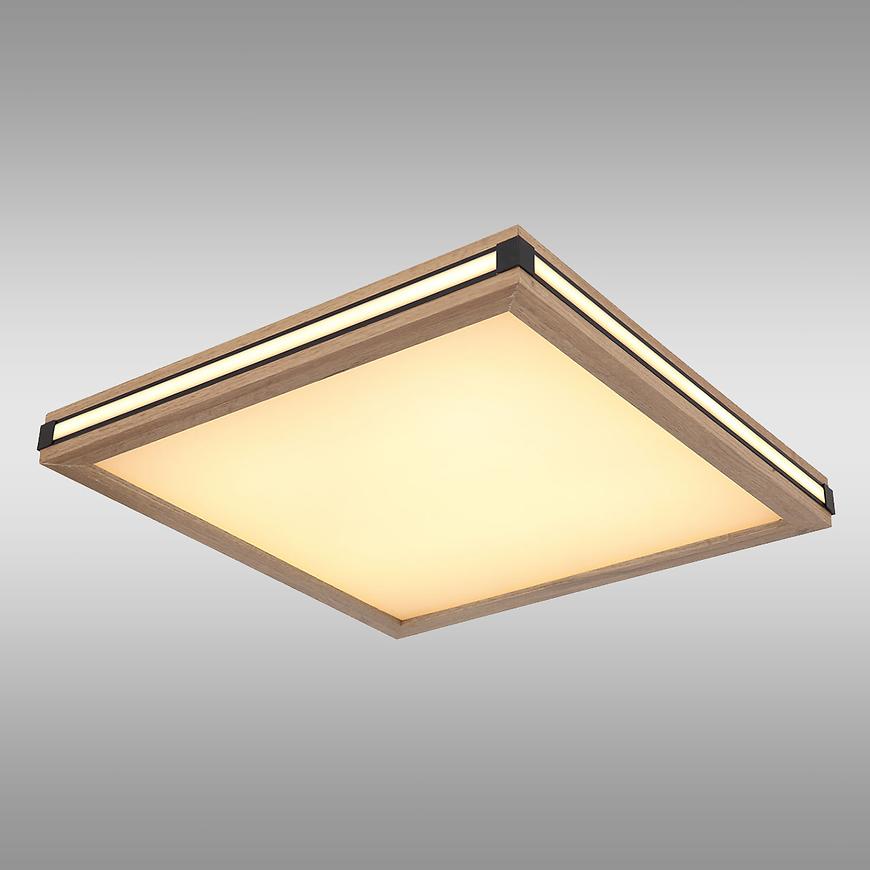 Stropná lampa 41589D2 LED PL1