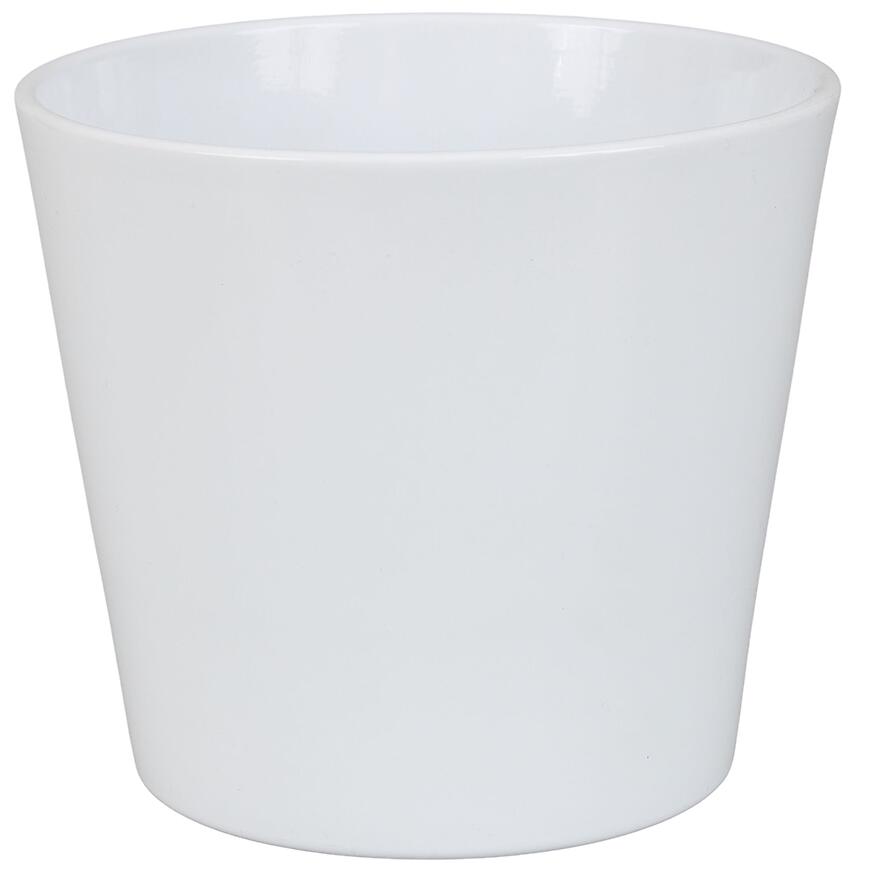 E-shop Obal Prymula 440 12 cm biela