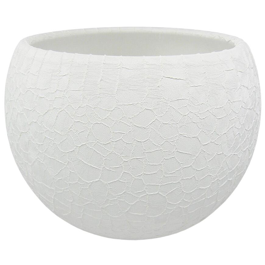 E-shop Obal guľa Lizard 12 cm biela