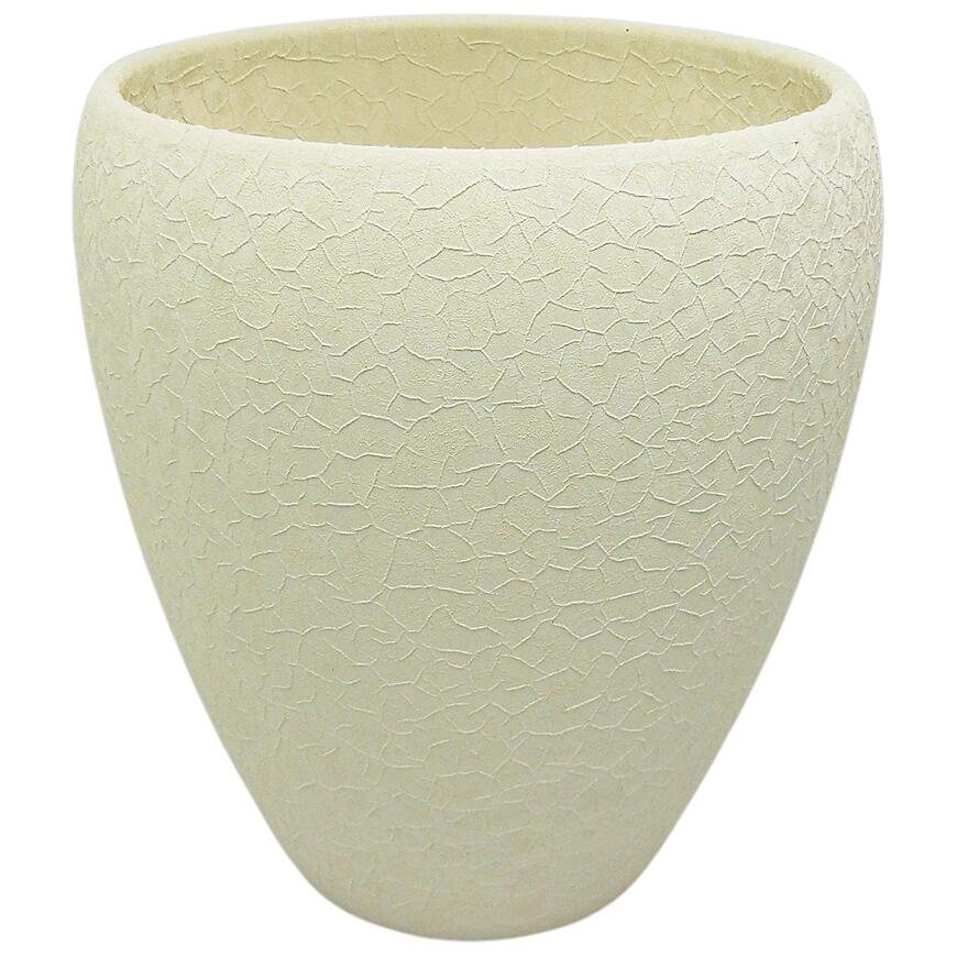 E-shop Obal orchidea Lizard 14 cm krémová