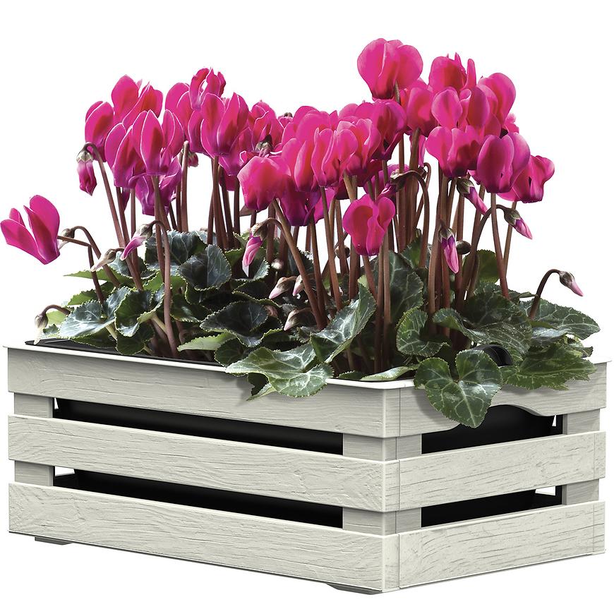 E-shop Okenný kvetináč Tina 1 22x15,5x10,5