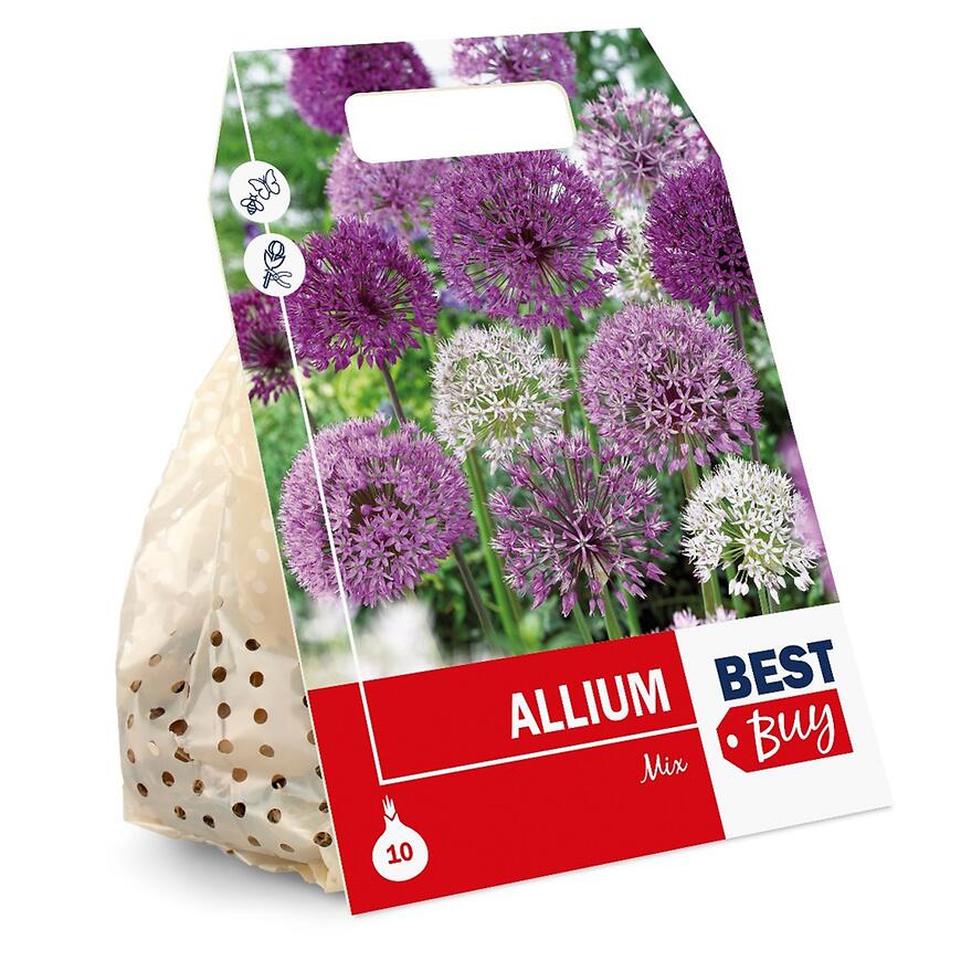Zmes okrasných cesnakov (Allium)