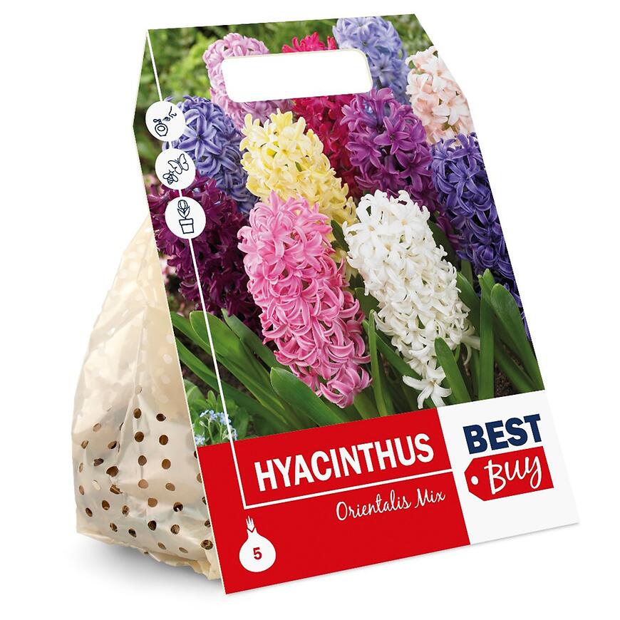 Zmes hyacintov