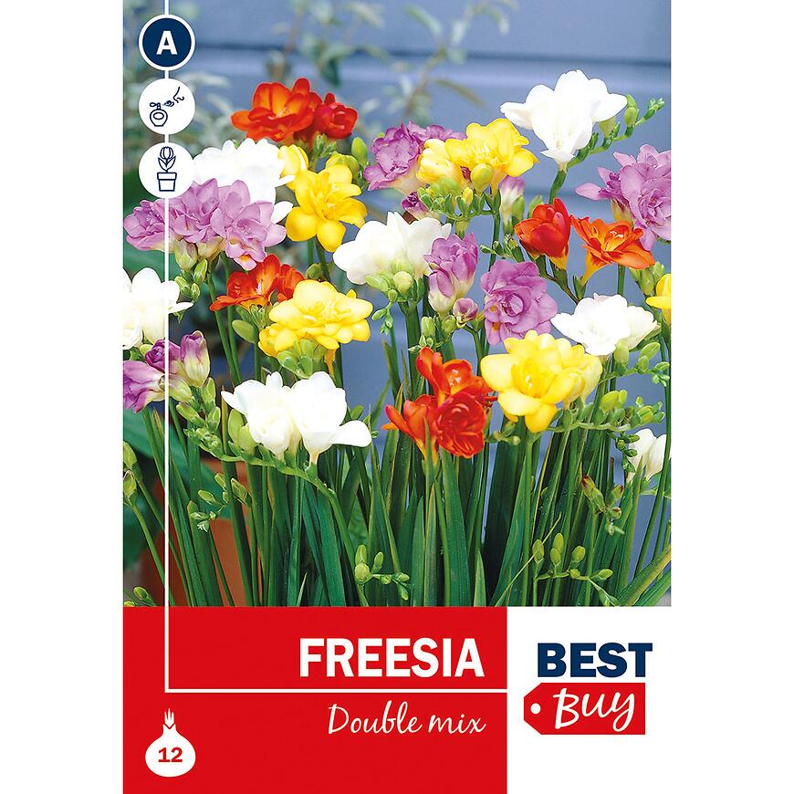 E-shop Freesia double Mix