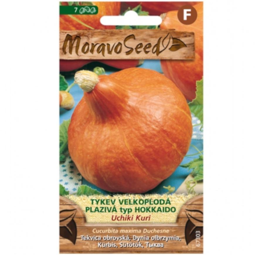 Tekvica veľkoplodová plazivá Uchiki Kuri, typ Hokkaido