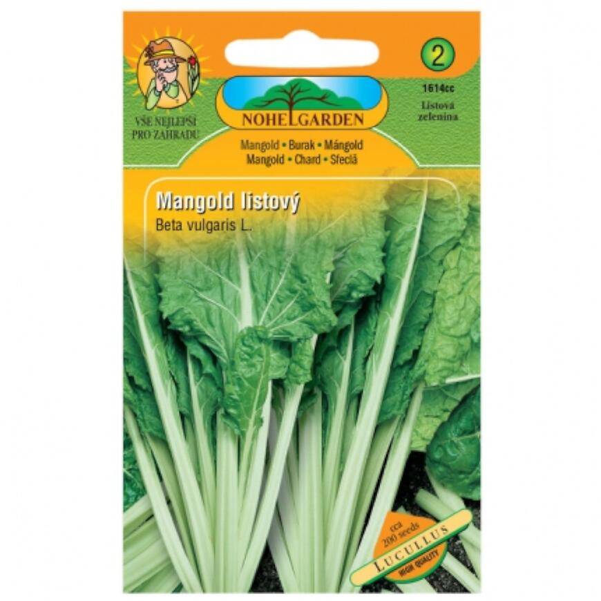 Mangold listový Lucullus, zelený