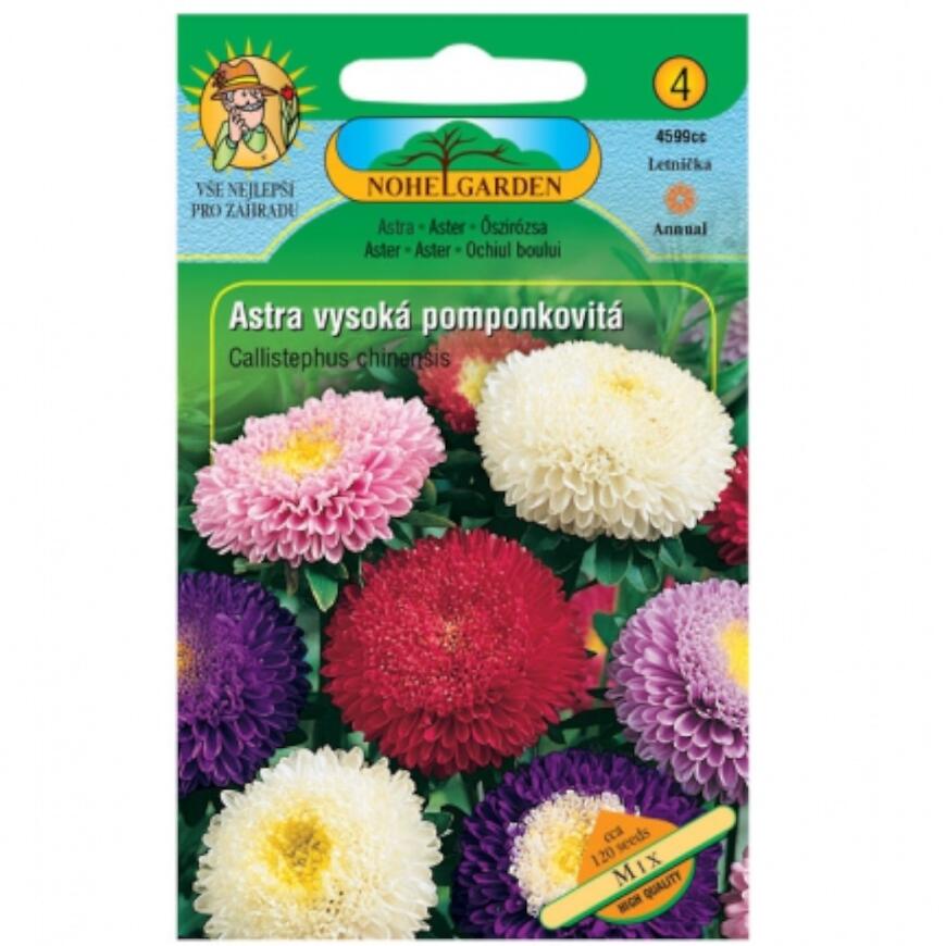 Astra čínska vysoká pomponkovitá, zmes