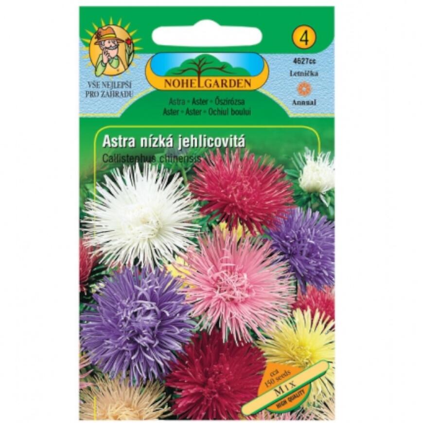 Astra čínska nízka ihlicovitá, zmes