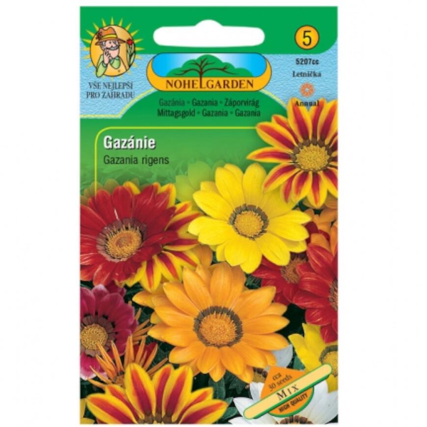 Gazánia lesklá, zmes