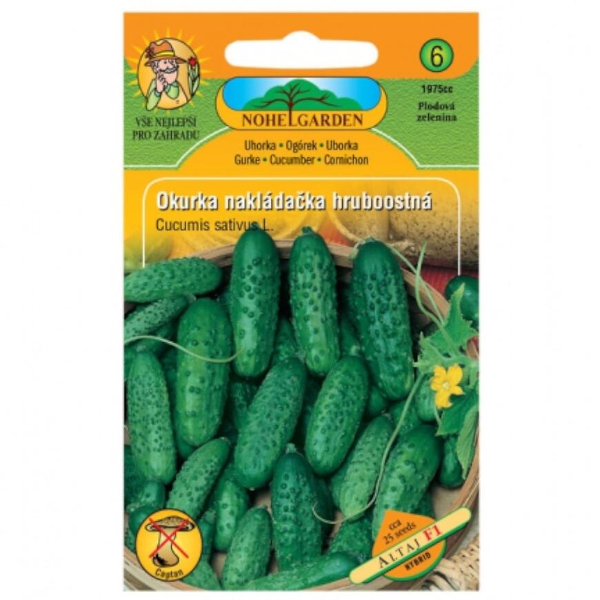 Uhorka nakladačka hruboostná Altaj F1 - hybrid