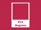 Viva Magenta - farba roku 2023