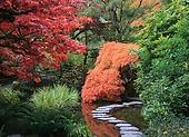 Záhrada v japonskom štýle - ako ju vytvoriť? Zistite!