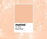 Peach Fuzz - farba Pantone pre rok 2024
