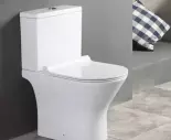 Ako cistit kamen na toalete? Domace prostriedky na spinave toalety