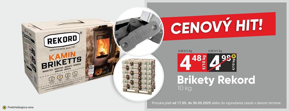 BRYKIET