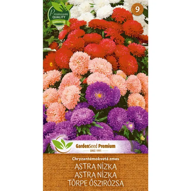 Zmes kvetov nízkej chryzantémy Astra