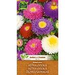 Astra vysoký bukett zmes