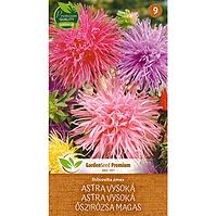 Astra vysoká - ihlicovita zmes