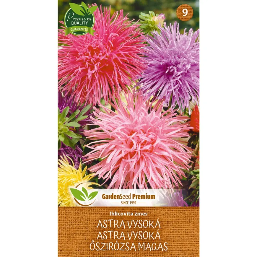 Astra vysoký ihličková zmes