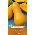 Tekvica maslová Butternut