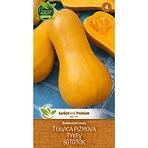 Tekvica maslová Butternut