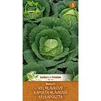 Kapusta Blistra F1