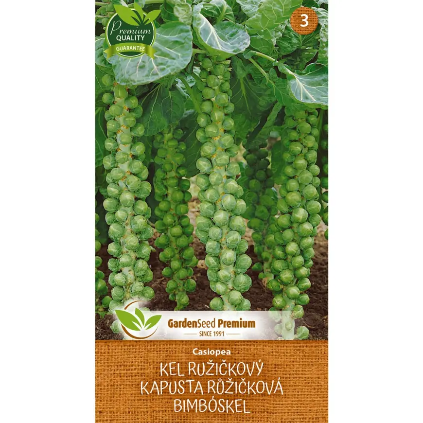 Ružičkový kel Casiopea
