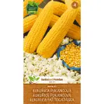 Kukurica Jantár F1