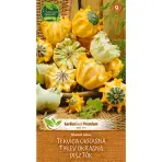 Dekoratívne tekvice - Shenot zmes