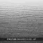 Laminátová podlaha Dub Benito 8mm AC4 Parquet Mercado 3280,4