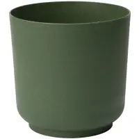 zelená