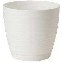 biela