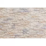 Sádrový Obkladový Kameň Hampton 1
