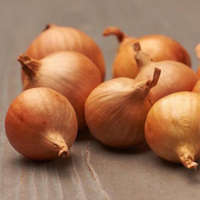 Shallots Golden Gourmet Cibuľa sadzačka  0.5kg 7-14MM