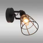 Luster CELTIS  AS-CEE141B LS1