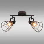Luster CELTIS AS-CEE142B LS2