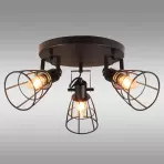 Luster CELTIS AS-CEE143B PL3