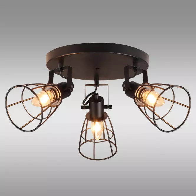 Luster CELTIS AS-CEE143B PL3