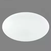 Lampa 41348-30SH SMART LIGHT 30W 3000-6000K PL1