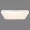 Lampa 48406-48SH SMART LIGHT 48W 3000-6400K PL1