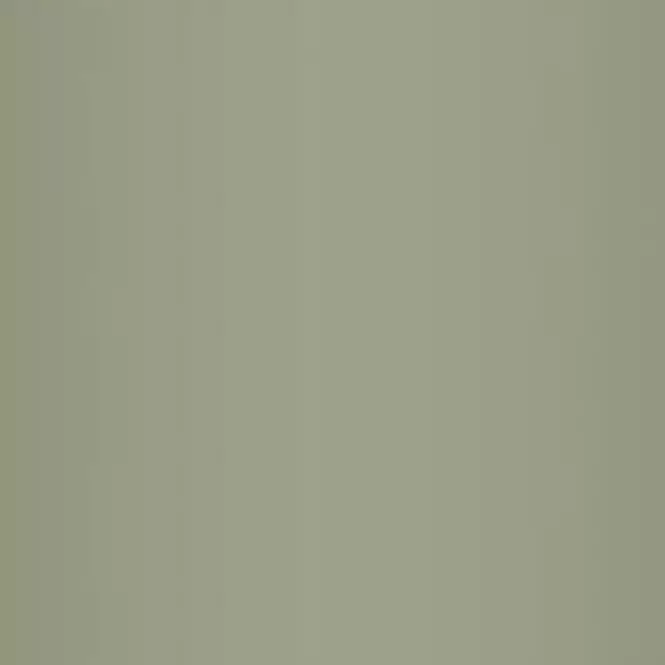 Primalex Ceramic Cinsky Nefrit 2,5l