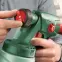 Bosch Systém na rozprašovanie PFS 1000,3