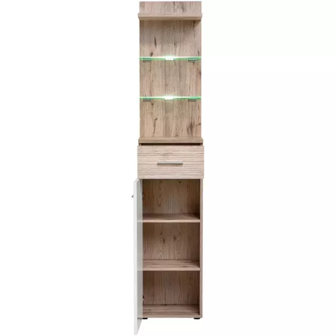 Gustavo kabinet TYPB+C  Dub Wellington/biely,2