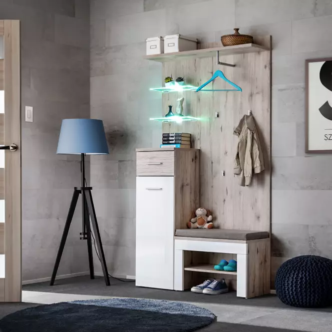 Gustavo kabinet TYPB+C  Dub Wellington/biely,6
